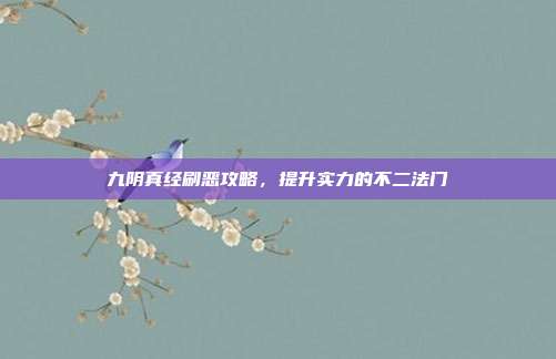 九阴真经刷恶攻略,提升实力的不二法门