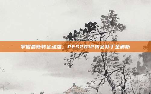 掌握最新转会动态,PES2012转会补丁全解析
