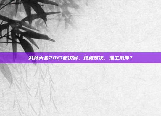 武林大会2013总决赛,终极对决,谁主沉浮?
