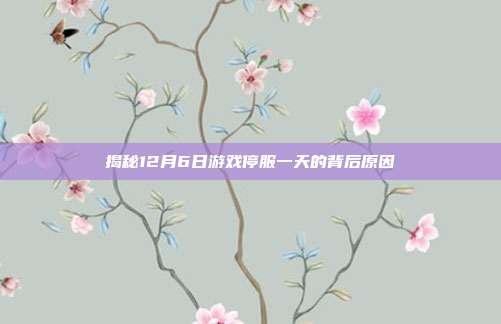 揭秘12月6日游戏停服一天的背后原因