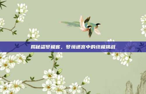 揭秘盗梦极客,梦境迷宫中的终极挑战