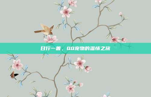日行一善，QQ宠物的温情之旅