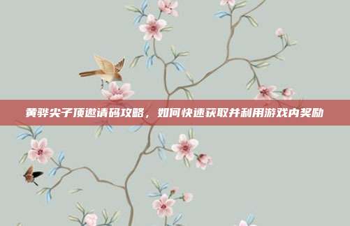 黄骅尖子顶邀请码攻略,如何快速获取并利用游戏内奖励