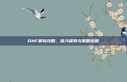 DNF猴岛攻略,深入探索与策略运用