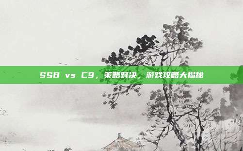 SSB vs C9，策略对决，游戏攻略大揭秘