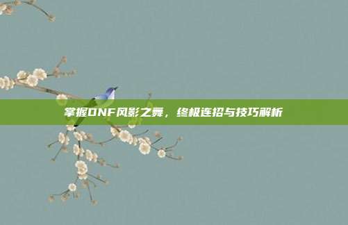 掌握DNF风影之舞,终极连招与技巧解析