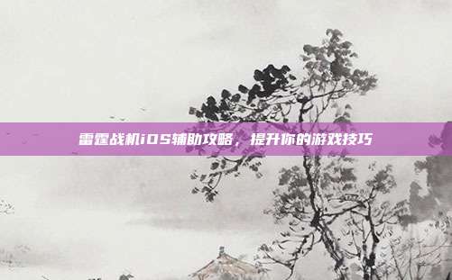 雷霆战机iOS辅助攻略,提升你的游戏技巧