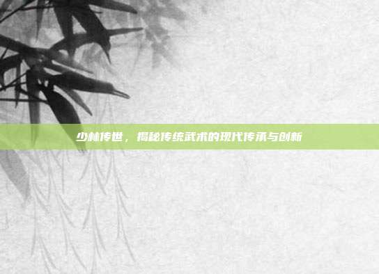 少林传世,揭秘传统武术的现代传承与创新