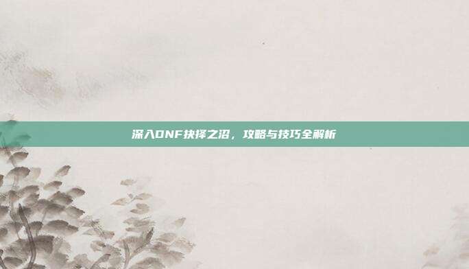 深入DNF抉择之沼,攻略与技巧全解析