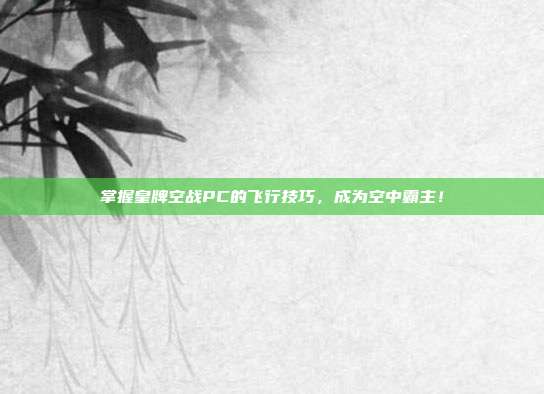 掌握皇牌空战PC的飞行技巧,成为空中霸主!