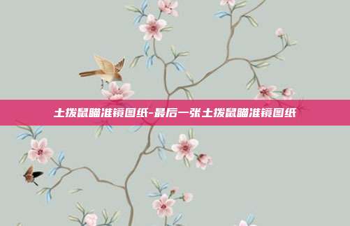 土拨鼠瞄准镜图纸-最后一张土拨鼠瞄准镜图纸