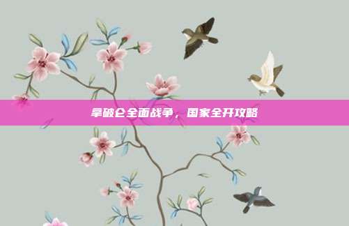 拿破仑全面战争,国家全开攻略