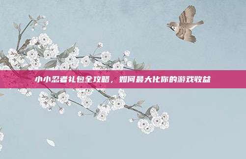 小小忍者礼包全攻略,如何最大化你的游戏收益