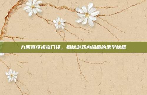 九阴真经初窥门径,揭秘游戏内隐藏的武学秘籍