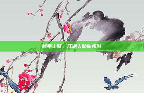 新手上路,江湖卡助你畅游