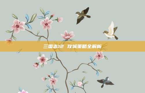 三国志12 攻城策略全解析