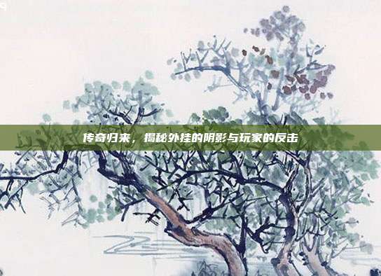 传奇归来,揭秘外挂的阴影与玩家的反击