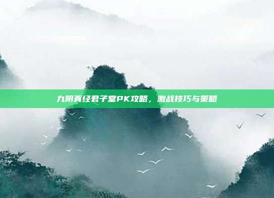 九阴真经君子堂PK攻略，激战技巧与策略
