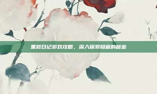 黑岩日记游戏攻略,深入探索隐藏的秘密