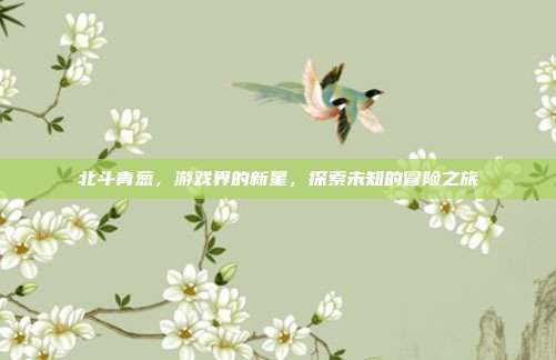 北斗青葱,游戏界的新星,探索未知的冒险之旅