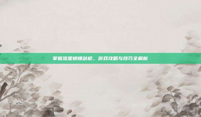 掌握流星蝴蝶剑枪,游戏攻略与技巧全解析