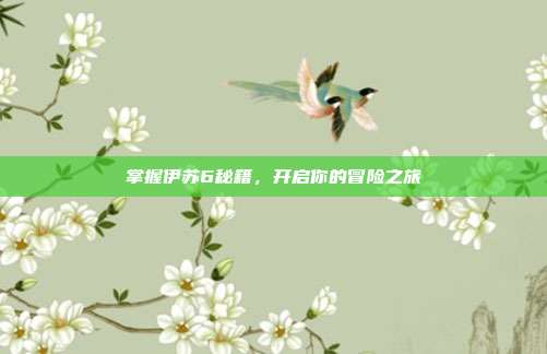 掌握伊苏6秘籍，开启你的冒险之旅