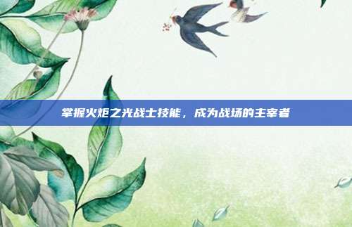 掌握火炬之光战士技能,成为战场的主宰者