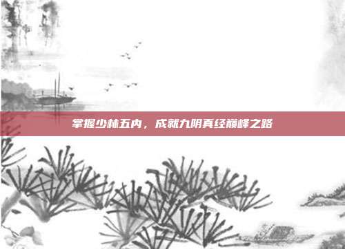 掌握少林五内,成就九阴真经巅峰之路