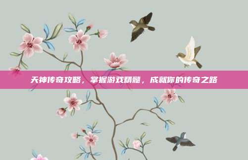 天神传奇攻略,掌握游戏精髓,成就你的传奇之路