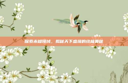 探索未知领域,揭秘天下盛境的终极奥秘