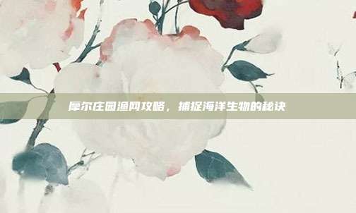 摩尔庄园渔网攻略,捕捉海洋生物的秘诀