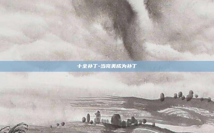 十全补丁-当完美成为补丁