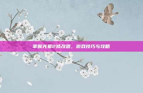 掌握光晕2修改器,游戏技巧与攻略