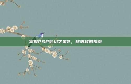 掌握PSP梦幻之星2,终极攻略指南