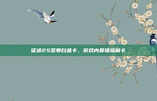 征途2S至尊白金卡,游戏内最强福利卡