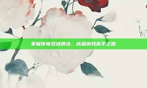 掌握传奇双挂调法，成就游戏高手之路