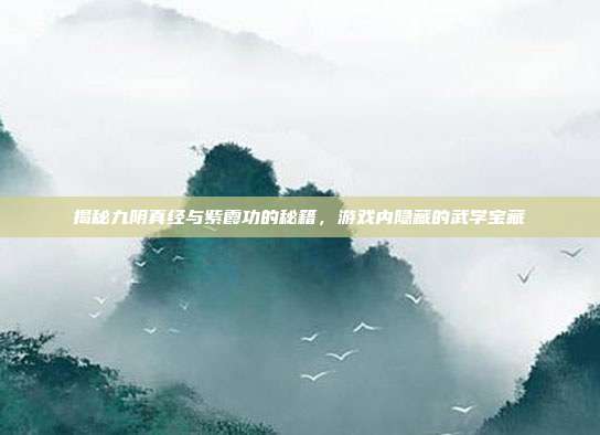 揭秘九阴真经与紫霞功的秘籍,游戏内隐藏的武学宝藏