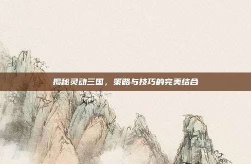 揭秘灵动三国,策略与技巧的完美结合