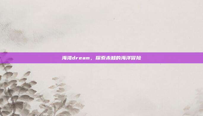 海湾dream,探索未知的海洋冒险