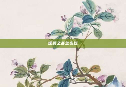 逆袭之谷怎么过