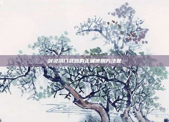 剑灵洪门武器的正确使用方法是