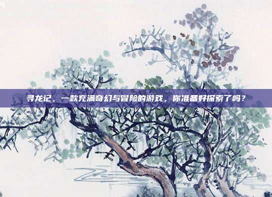 寻龙记,一款充满奇幻与冒险的游戏,你准备好探索了吗?