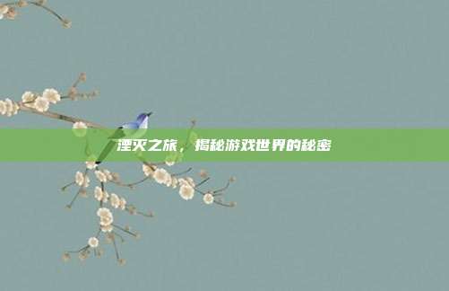 湮灭之旅,揭秘游戏世界的秘密
