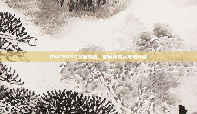 DNF50SS装备攻略,如何高效获取与升级
