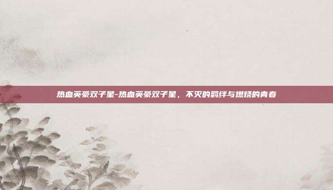 热血英豪双子星-热血英豪双子星，不灭的羁绊与燃烧的青春