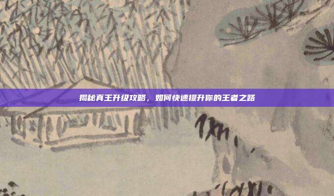 揭秘真王升级攻略，如何快速提升你的王者之路