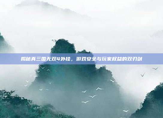 揭秘真三国无双4外挂,游戏安全与玩家权益的双刃剑
