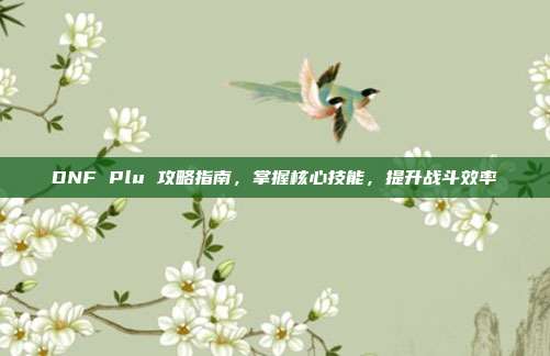 DNF Plu 攻略指南,掌握核心技能,提升战斗效率