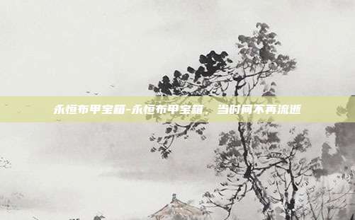 永恒布甲宝箱-永恒布甲宝箱，当时间不再流逝