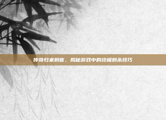 传奇归来刺客,揭秘游戏中的终极刺杀技巧